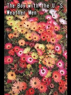 The Boy with the U. S. Weather Men (ebook)