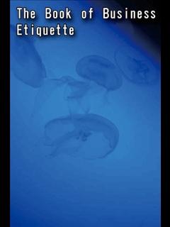 The Book of Business Etiquette (ebook)