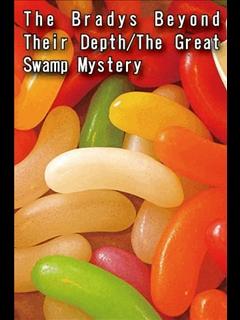 The Bradys Beyond Their Depth/The Great Swamp Mystery (ebook)