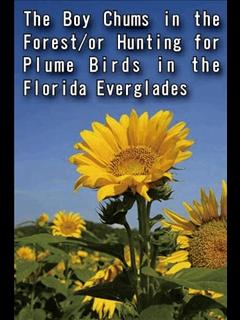 The Boy Chums in the Forest/or Hunting for Plume Birds in the Florida Everglades (ebook)