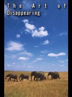 The Art of Disappearing (ebook)