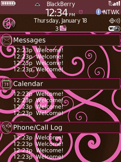 Blackberry Storm TODAY Theme: Fancy Flourish Pink