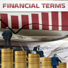 Financial Terms Lite