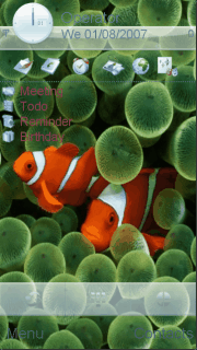 fish