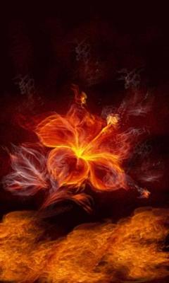 Flaming Flower Live Wallpaper