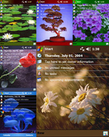 Theme Pack - Flora (VGA)