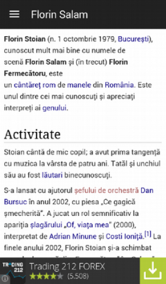 Florin Salam