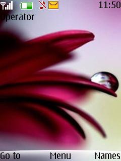 Flower Drop