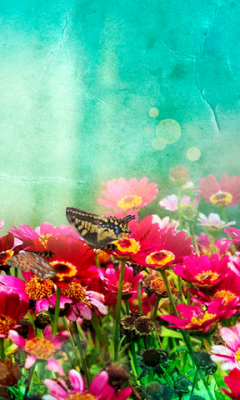 Flowers Live Wallpaper Canno