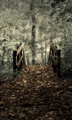 Forest Path Live Wallpaper