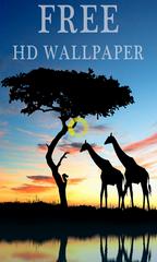Free HD Wallpaper