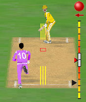 Cricket3D