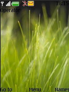 Fresh Grass Vista