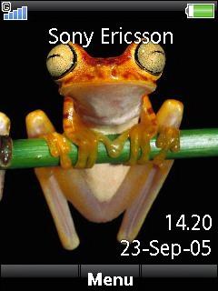 Frog