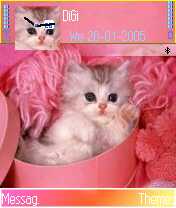 Funnycat