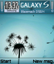 Galaxy S3000