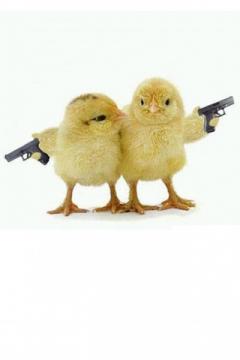 Gangstar Chicks