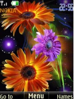 Gerbera Animated