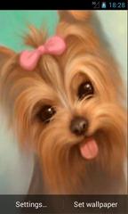 Glamour Doggy Live Wallpapers