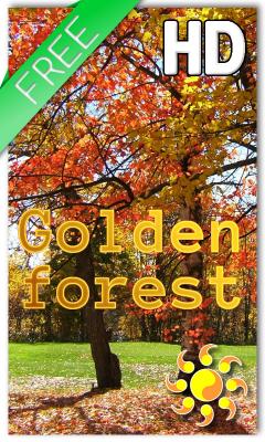 Golden Forest Live Wallpaper HD