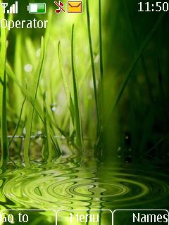 Grass Ripples