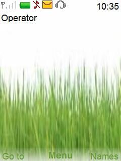 Grass