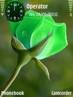 Green Rose