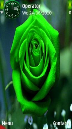 Green Rose