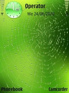 Green Spider Web