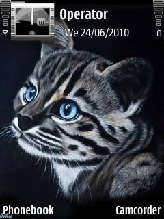 Grey Cat