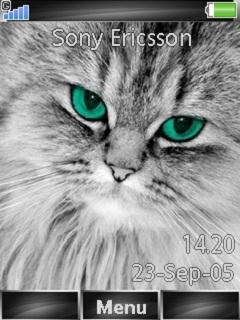 Grey Cute Cat