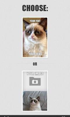 Grumpy Cat Meme Generator