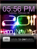 HAPPY NEW YEAR 2011