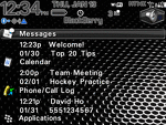 8300 Blackberry TODAY Theme: High Def
