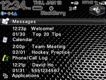 8800 Blackberry TODAY Theme: High Def