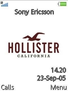 Hollister Co