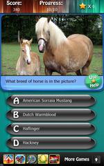 Horse Breeds & Pony Quiz HD
