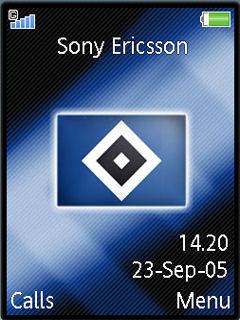 Hsv