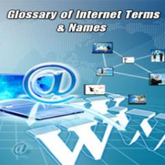 Internet Terms Lite