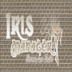 Iris Manager OFFICIAL 2.90b: 4.55 Support Added