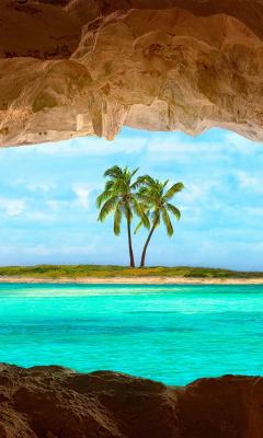 Island With Palm Tree Live Wallpaper