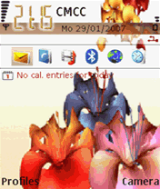 Flowers-Valentine day,theme ui for nokia s60 3rd phones