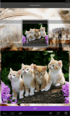 Kittens live Wallpaper