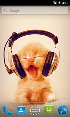 Kitty Music LWP