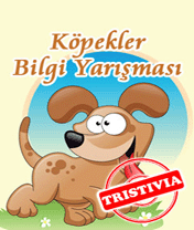 Kopekler Bilgi Yarismasi