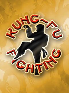 Kungfu Fighting (SP)