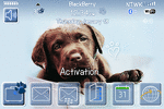 Blackberry Bold ZEN Theme: Lab Puppy