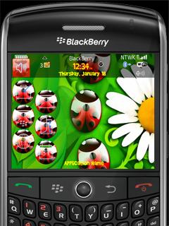 Animated Ladybird Theme for BlackBerry 8350