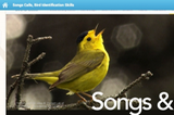Learn Bird Songs