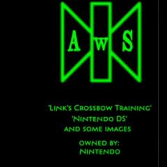 Link's Crossbow Training DS
